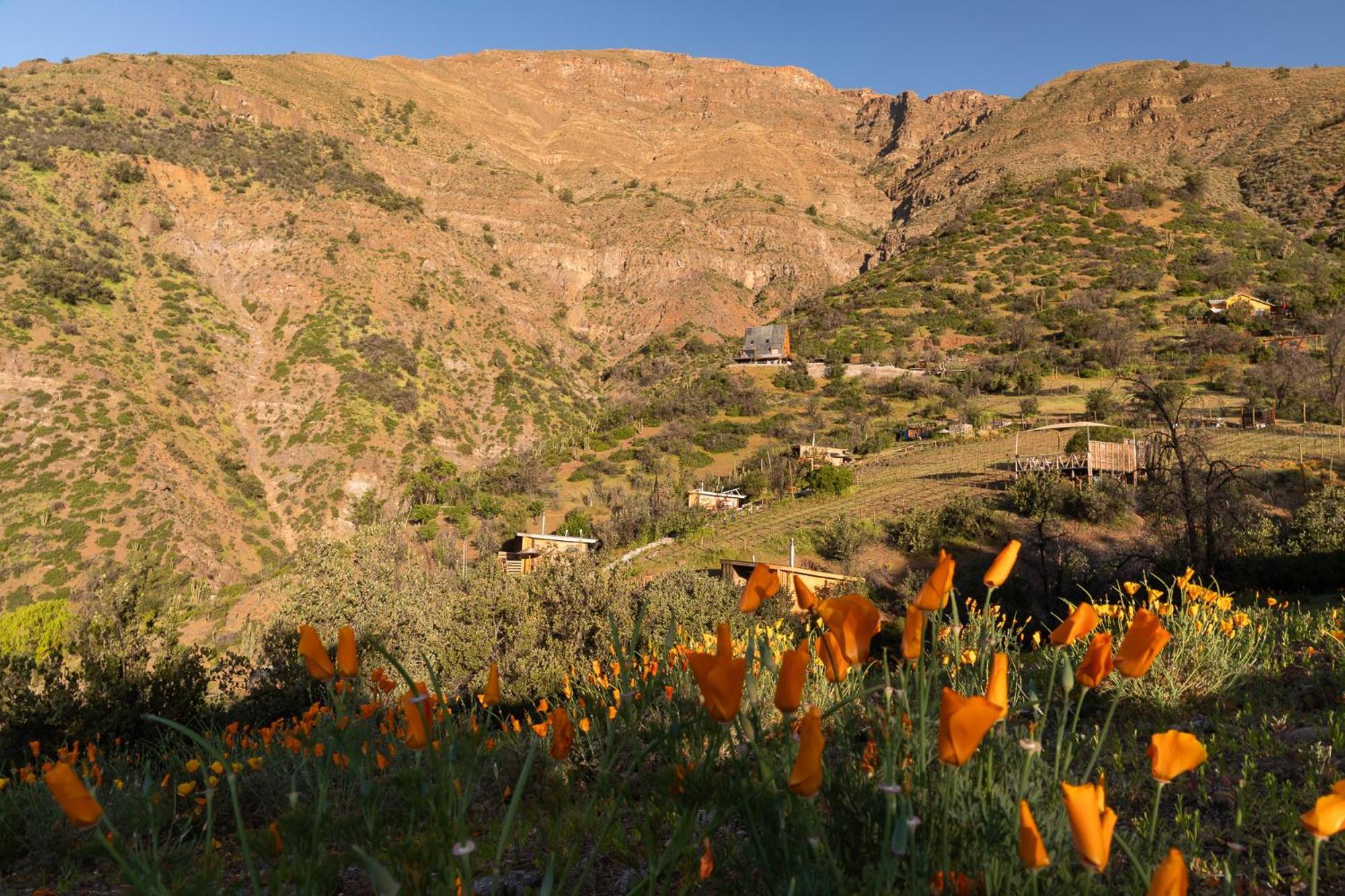 Origen Del Maipo Lodge San José de Maipo Eksteriør billede