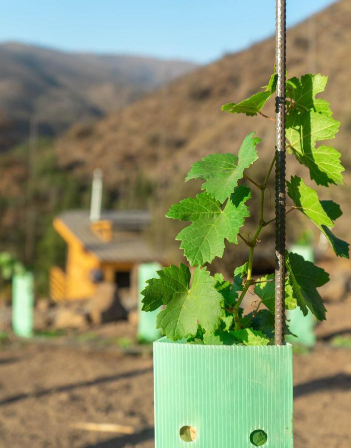 Origen Del Maipo Lodge San José de Maipo Eksteriør billede